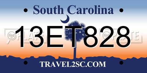 13ET828 South Carolina License Plate
