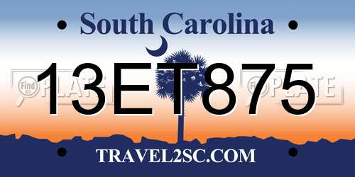 13ET875 South Carolina License Plate