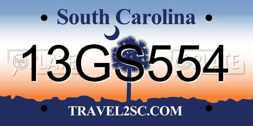 13GS554 South Carolina License Plate