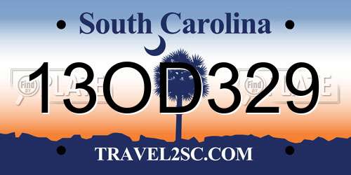 13OD329 South Carolina License Plate