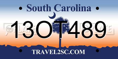 13OT489 South Carolina License Plate