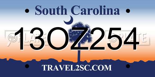 13OZ254 South Carolina License Plate