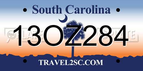 13OZ284 South Carolina License Plate