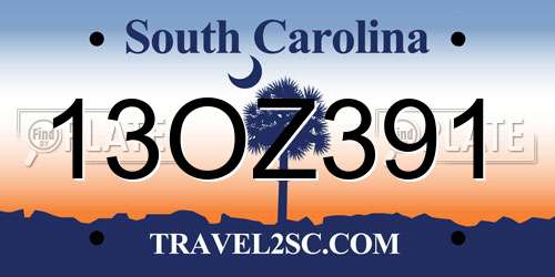 13OZ391 South Carolina License Plate