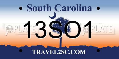 13SO1 South Carolina License Plate