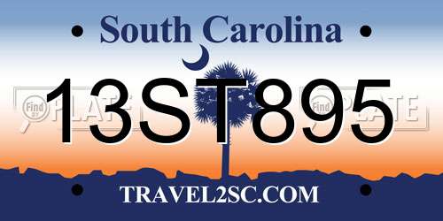 13ST895 South Carolina License Plate