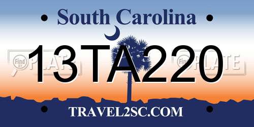 13TA220 South Carolina License Plate