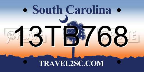 13TB768 South Carolina License Plate