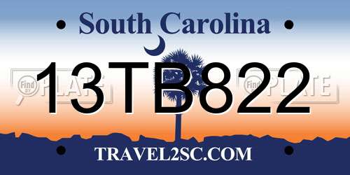 13TB822 South Carolina License Plate