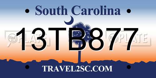 13TB877 South Carolina License Plate