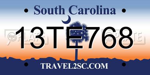 13TE768 South Carolina License Plate