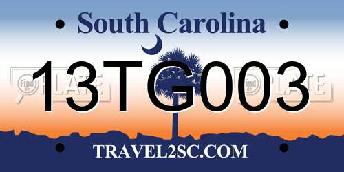 13TG003 South Carolina License Plate