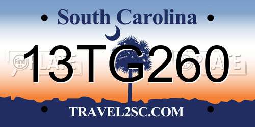 13TG260 South Carolina License Plate