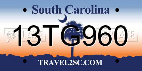 13TG960 South Carolina License Plate