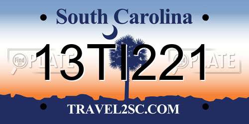 13TI221 South Carolina License Plate