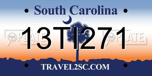 13TI271 South Carolina License Plate