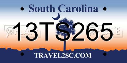 13TS265 South Carolina License Plate