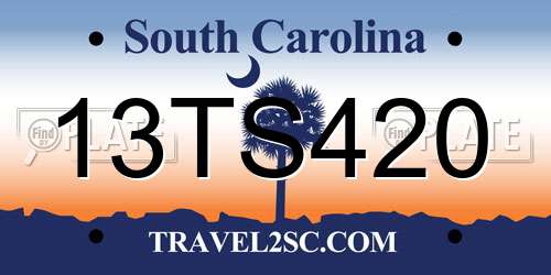 13TS420 South Carolina License Plate