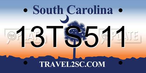 13TS511 South Carolina License Plate