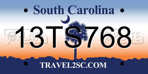 13TS768 South Carolina License Plate