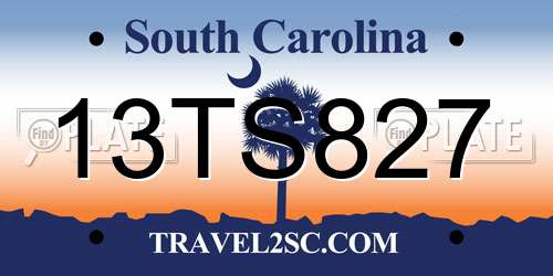 13TS827 South Carolina License Plate