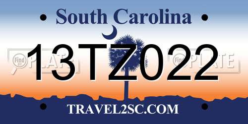 13TZ022 South Carolina License Plate