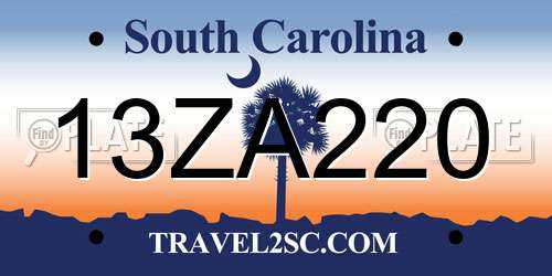13ZA220 South Carolina License Plate