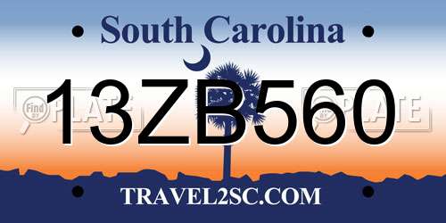 13ZB560 South Carolina License Plate