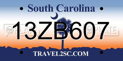 13ZB607 South Carolina License Plate
