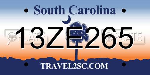 13ZE265 South Carolina License Plate