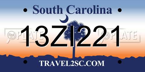 13ZI221 South Carolina License Plate