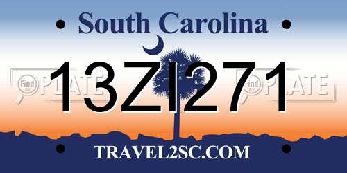 13ZI271 South Carolina License Plate