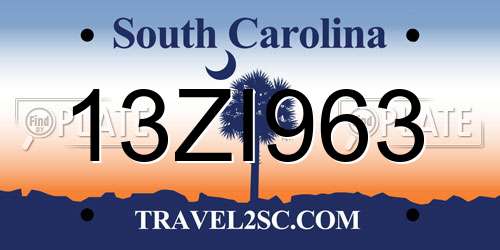 13ZI963 South Carolina License Plate