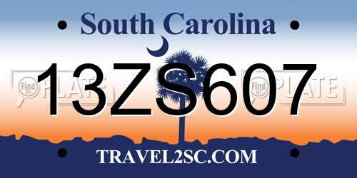 13ZS607 South Carolina License Plate