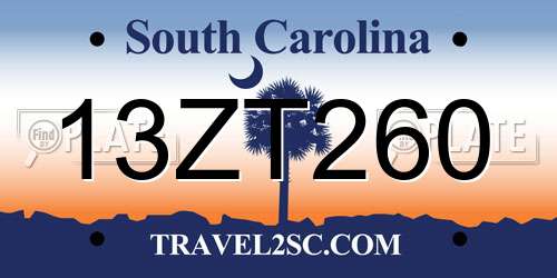 13ZT260 South Carolina License Plate