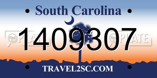1409307 South Carolina License Plate