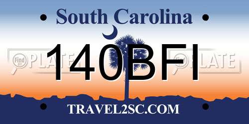 140BFI South Carolina License Plate