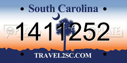 1411252 South Carolina License Plate