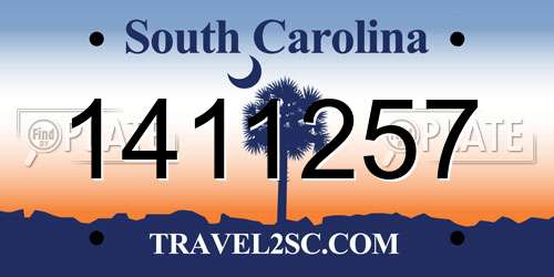 1411257 South Carolina License Plate
