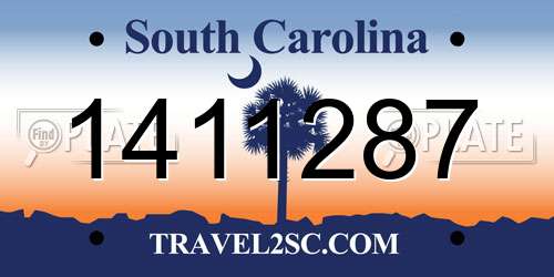 1411287 South Carolina License Plate