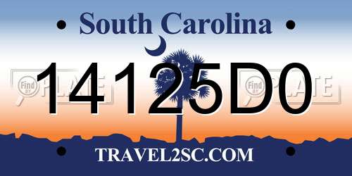 14125D0 South Carolina License Plate