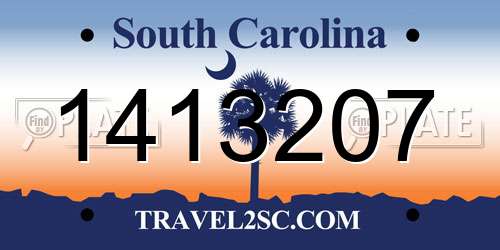 1413207 South Carolina License Plate