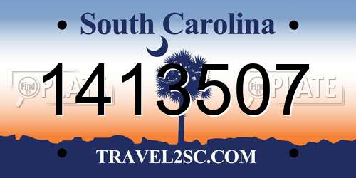 1413507 South Carolina License Plate
