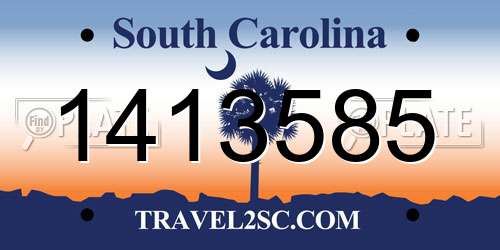 1413585 South Carolina License Plate