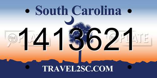 1413621 South Carolina License Plate