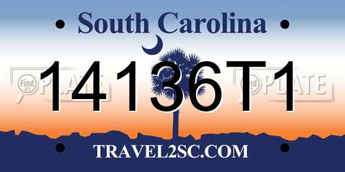 14136T1 South Carolina License Plate