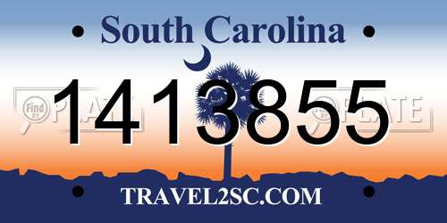 1413855 South Carolina License Plate