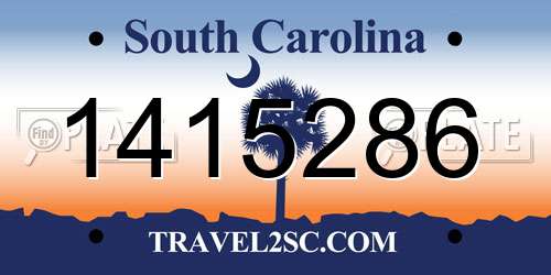 1415286 South Carolina License Plate