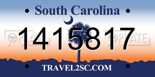 1415817 South Carolina License Plate
