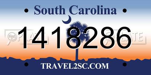 1418286 South Carolina License Plate